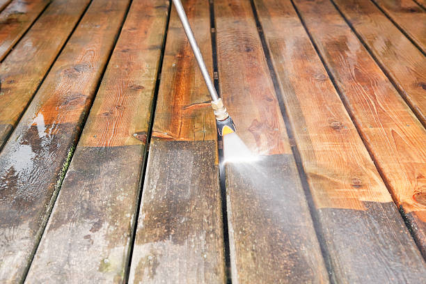 Animal Enclosure Cleaning in Vine Grove, KY